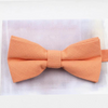 Hochzeits outfit, Bräutigam outfit, Partnerlook Hochzeit, Hochzeit, Hochzeits-Villa, Bräutigam Accessoires, Accessoires für Ihn, Fliegen, Farbenfrohe Hochzeit, Outfit für ihn, Hochzeitsgast Outfit für ihn, Fliegen aus Baumwolle, Accessoires die zusammenpassen, passende Accessoires für ihn, Bunte Hochzeit, Krawattenfliegen, Vater Sohn Outfit, Vater und Sohn Partnerlook