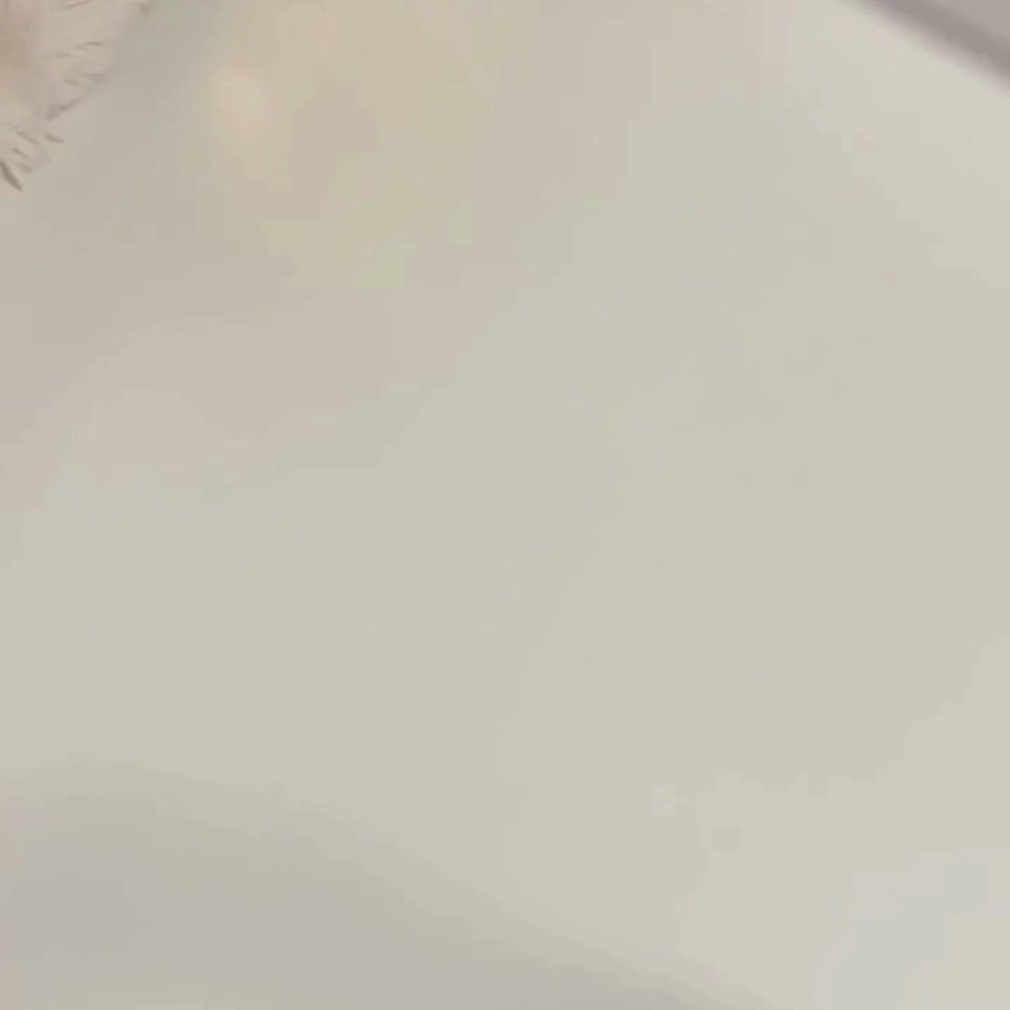 Hochzeitsbox | Weddingplaner