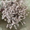 Trockenblumen, Hortensie getrocknet, Hortensien, haltbar, Hortensie Hochzeitsdeko, Tischdeko, Hochzeitsblumen, Hortensie Mauve, Aprikot, Lila, Rosa, blau, gelb, grüne Hortensien, Weiß, creme, Hortensie Schwarz, Horttensie Rot, grau, Hochzeits-Villa, Trauung deko, Tortendeko, Brautstrauß Hortensie, Ringbox deko, Füllung Ringbox, Vegiss mein nicht,