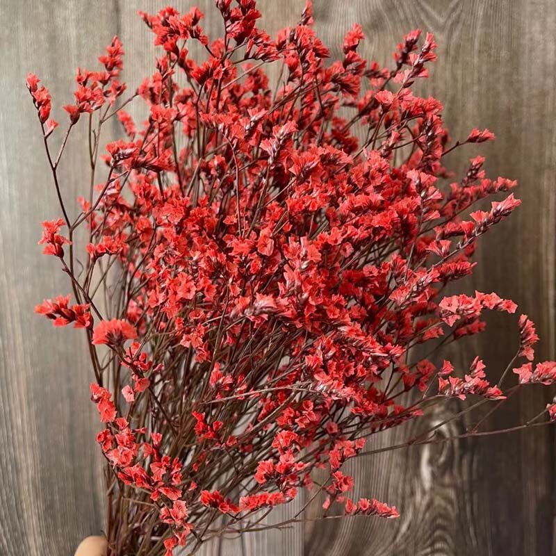 Trockenblumen, Hortensie getrocknet, Hortensien, haltbar, Hortensie Hochzeitsdeko, Tischdeko, Hochzeitsblumen, Hortensie Mauve, Aprikot, Lila, Rosa, blau, gelb, grüne Hortensien, Weiß, creme, Hortensie Schwarz, Horttensie Rot, grau, Hochzeits-Villa, Trauung deko, Tortendeko, Brautstrauß Hortensie, Ringbox deko, Füllung Ringbox, Vegiss mein nicht,