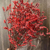 Trockenblumen, Hortensie getrocknet, Hortensien, haltbar, Hortensie Hochzeitsdeko, Tischdeko, Hochzeitsblumen, Hortensie Mauve, Aprikot, Lila, Rosa, blau, gelb, grüne Hortensien, Weiß, creme, Hortensie Schwarz, Horttensie Rot, grau, Hochzeits-Villa, Trauung deko, Tortendeko, Brautstrauß Hortensie, Ringbox deko, Füllung Ringbox, Vegiss mein nicht,