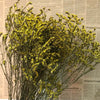 Trockenblumen, Hortensie getrocknet, Hortensien, haltbar, Hortensie Hochzeitsdeko, Tischdeko, Hochzeitsblumen, Hortensie Mauve, Aprikot, Lila, Rosa, blau, gelb, grüne Hortensien, Weiß, creme, Hortensie Schwarz, Horttensie Rot, grau, Hochzeits-Villa, Trauung deko, Tortendeko, Brautstrauß Hortensie, Ringbox deko, Füllung Ringbox, Vegiss mein nicht,
