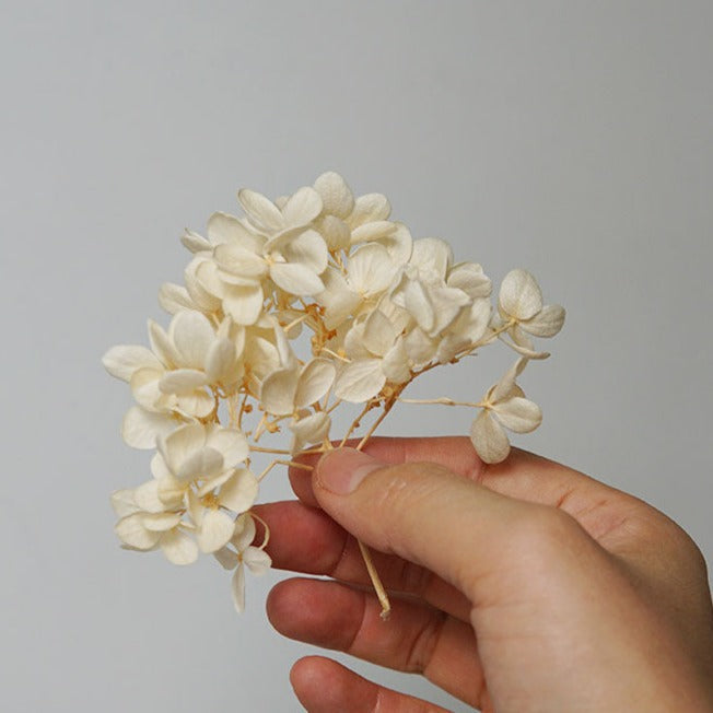 Hortensie, Trockenblumen, echt, Blumen getrocknet, Malve, Rosa, lila, Pastell, Bordeaux, grau, grün, türkis, Vanille, Natur, orange, gelb, petrol, deko, konservierte Hortensie, creme, blau, aprikot, zarte Blümchen, Ringschatulle, Hochzeit, Hochzeitsvilla, Einladung, 