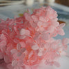 Hortensie, Trockenblumen, echt, Blumen getrocknet, Malve, Rosa, lila, Pastell, Bordeaux, grau, grün, türkis, Vanille, Natur, orange, gelb, petrol, deko, konservierte Hortensie, creme, blau, aprikot, zarte Blümchen, Ringschatulle, Hochzeit, Hochzeitsvilla, Einladung, 