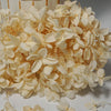 Hortensie, Trockenblumen, echt, Blumen getrocknet, Malve, Rosa, lila, Pastell, Bordeaux, grau, grün, türkis, Vanille, Natur, orange, gelb, petrol, deko, konservierte Hortensie, creme, blau, aprikot, zarte Blümchen, Ringschatulle, Hochzeit, Hochzeitsvilla, Einladung, 