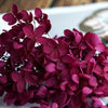 Hortensie, Trockenblumen, echt, Blumen getrocknet, Malve, Rosa, lila, Pastell, Bordeaux, grau, grün, türkis, Vanille, Natur, orange, gelb, petrol, deko, konservierte Hortensie, creme, blau, aprikot, zarte Blümchen, Ringschatulle, Hochzeit, Hochzeitsvilla, Einladung, 