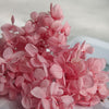 Hortensie, Trockenblumen, echt, Blumen getrocknet, Malve, Rosa, lila, Pastell, Bordeaux, grau, grün, türkis, Vanille, Natur, orange, gelb, petrol, deko, konservierte Hortensie, creme, blau, aprikot, zarte Blümchen, Ringschatulle, Hochzeit, Hochzeitsvilla, Einladung, 