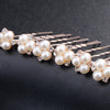Brautschmuck, Haarschmuck, Hochzeitsfrisur, Haarspange Hochzeit, Perlen, Brauthaarschmuck, Schmuckkamm, Bobby, Flechtfrisur,  Haarnadeln, romantischer Haarschmuck, eleganter Haarschmuck, Haarrebe, Kopfschmuck, Blumenschmuck, Rosegold, Silber, Gold, Draht, lang, breit, Haarkette, Blütenranke, Hochzeits-Villa, Brautaccessoire, Hochzeits accessoire, Braut, Hochzeit, Strass, Perlen, Haarspange Hochzeit, Kristallsteinchen, 