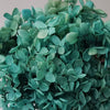 Hortensie, Trockenblumen, echt, Blumen getrocknet, Malve, Rosa, lila, Pastell, Bordeaux, grau, grün, türkis, Vanille, Natur, orange, gelb, petrol, deko, konservierte Hortensie, creme, blau, aprikot, zarte Blümchen, Ringschatulle, Hochzeit, Hochzeitsvilla, Einladung, 