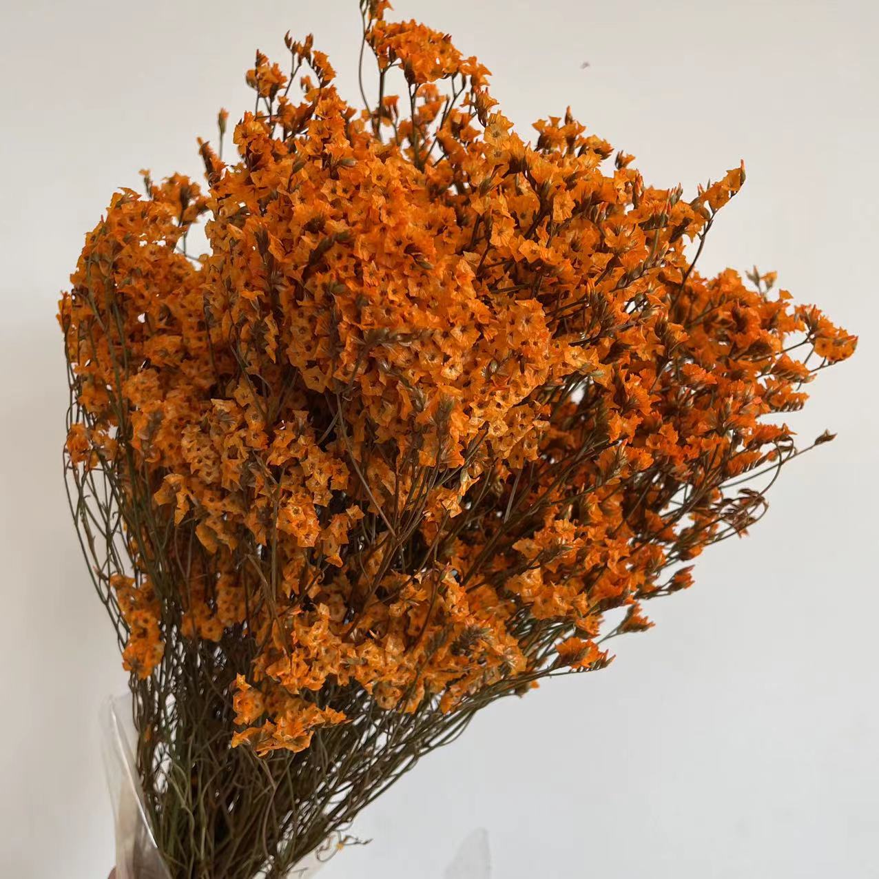 Trockenblumen, Hortensie getrocknet, Hortensien, haltbar, Hortensie Hochzeitsdeko, Tischdeko, Hochzeitsblumen, Hortensie Mauve, Aprikot, Lila, Rosa, blau, gelb, grüne Hortensien, Weiß, creme, Hortensie Schwarz, Horttensie Rot, grau, Hochzeits-Villa, Trauung deko, Tortendeko, Brautstrauß Hortensie, Ringbox deko, Füllung Ringbox, Vegiss mein nicht,