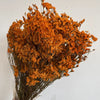Trockenblumen, Hortensie getrocknet, Hortensien, haltbar, Hortensie Hochzeitsdeko, Tischdeko, Hochzeitsblumen, Hortensie Mauve, Aprikot, Lila, Rosa, blau, gelb, grüne Hortensien, Weiß, creme, Hortensie Schwarz, Horttensie Rot, grau, Hochzeits-Villa, Trauung deko, Tortendeko, Brautstrauß Hortensie, Ringbox deko, Füllung Ringbox, Vegiss mein nicht,