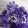 Hortensie, Trockenblumen, echt, Blumen getrocknet, Malve, Rosa, lila, Pastell, Bordeaux, grau, grün, türkis, Vanille, Natur, orange, gelb, petrol, deko, konservierte Hortensie, creme, blau, aprikot, zarte Blümchen, Ringschatulle, Hochzeit, Hochzeitsvilla, Einladung, 