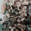 Hortensie, Trockenblumen, echt, Blumen getrocknet, Malve, Rosa, lila, Pastell, Bordeaux, grau, grün, türkis, Vanille, Natur, orange, gelb, petrol, deko, konservierte Hortensie, creme, blau, aprikot, zarte Blümchen, Ringschatulle, Hochzeit, Hochzeitsvilla, Einladung, 