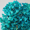 Hortensie, Trockenblumen, echt, Blumen getrocknet, Malve, Rosa, lila, Pastell, Bordeaux, grau, grün, türkis, Vanille, Natur, orange, gelb, petrol, deko, konservierte Hortensie, creme, blau, aprikot, zarte Blümchen, Ringschatulle, Hochzeit, Hochzeitsvilla, Einladung, 