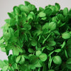 Hortensie, Trockenblumen, echt, Blumen getrocknet, Malve, Rosa, lila, Pastell, Bordeaux, grau, grün, türkis, Vanille, Natur, orange, gelb, petrol, deko, konservierte Hortensie, creme, blau, aprikot, zarte Blümchen, Ringschatulle, Hochzeit, Hochzeitsvilla, Einladung, 
