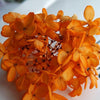 Hortensie, Trockenblumen, echt, Blumen getrocknet, Malve, Rosa, lila, Pastell, Bordeaux, grau, grün, türkis, Vanille, Natur, orange, gelb, petrol, deko, konservierte Hortensie, creme, blau, aprikot, zarte Blümchen, Ringschatulle, Hochzeit, Hochzeitsvilla, Einladung, 