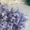 Hortensie, Trockenblumen, echt, Blumen getrocknet, Malve, Rosa, lila, Pastell, Bordeaux, grau, grün, türkis, Vanille, Natur, orange, gelb, petrol, deko, konservierte Hortensie, creme, blau, aprikot, zarte Blümchen, Ringschatulle, Hochzeit, Hochzeitsvilla, Einladung, 