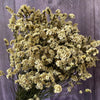 Trockenblumen, Hortensie getrocknet, Hortensien, haltbar, Hortensie Hochzeitsdeko, Tischdeko, Hochzeitsblumen, Hortensie Mauve, Aprikot, Lila, Rosa, blau, gelb, grüne Hortensien, Weiß, creme, Hortensie Schwarz, Horttensie Rot, grau, Hochzeits-Villa, Trauung deko, Tortendeko, Brautstrauß Hortensie, Ringbox deko, Füllung Ringbox, Vegiss mein nicht,