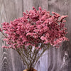 Trockenblumen, Hortensie getrocknet, Hortensien, haltbar, Hortensie Hochzeitsdeko, Tischdeko, Hochzeitsblumen, Hortensie Mauve, Aprikot, Lila, Rosa, blau, gelb, grüne Hortensien, Weiß, creme, Hortensie Schwarz, Horttensie Rot, grau, Hochzeits-Villa, Trauung deko, Tortendeko, Brautstrauß Hortensie, Ringbox deko, Füllung Ringbox, Vegiss mein nicht,