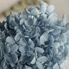Hortensie, Trockenblumen, echt, Blumen getrocknet, Malve, Rosa, lila, Pastell, Bordeaux, grau, grün, türkis, Vanille, Natur, orange, gelb, petrol, deko, konservierte Hortensie, creme, blau, aprikot, zarte Blümchen, Ringschatulle, Hochzeit, Hochzeitsvilla, Einladung, 