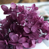 Hortensie, Trockenblumen, echt, Blumen getrocknet, Malve, Rosa, lila, Pastell, Bordeaux, grau, grün, türkis, Vanille, Natur, orange, gelb, petrol, deko, konservierte Hortensie, creme, blau, aprikot, zarte Blümchen, Ringschatulle, Hochzeit, Hochzeitsvilla, Einladung, 